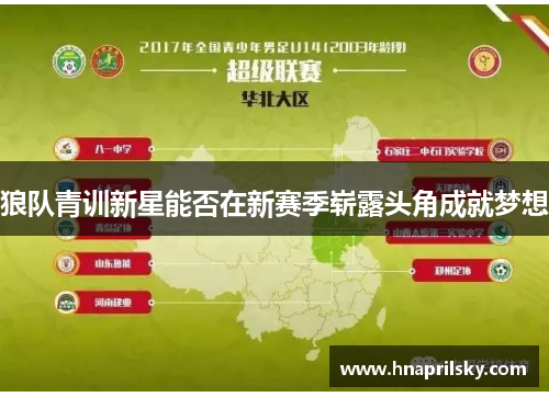 狼队青训新星能否在新赛季崭露头角成就梦想